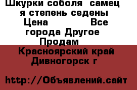 Шкурки соболя (самец) 1-я степень седены › Цена ­ 12 000 - Все города Другое » Продам   . Красноярский край,Дивногорск г.